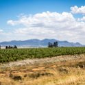 ZAF WC CW Paarl 2016NOV17 SpiceRoute 004 : 2016, 2016 - African Adventures, Africa, November, South Africa, Southern, Western Cape, Paarl, Cape Winelands, Spice Route